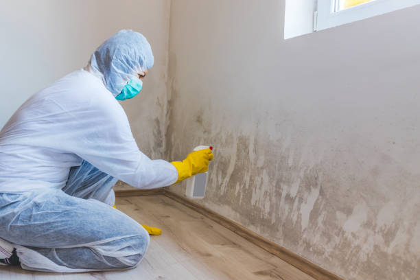 Hvac And Air Duct Mold Remediation inspection of HVAC system in Manheim